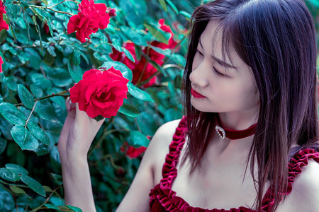 广西自贸试验区应用北斗定位技术 护航进口种牛高效通关